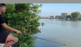 钓鱼小黑爆料视频播放,揭秘钓鱼技巧与实战经验