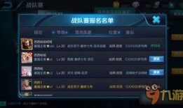 王者怎么看最新爆料记录,揭秘最新游戏动态与更新内容