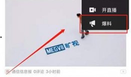 爆料视频如何上热门赚钱,通过爆料视频上热门赚钱的独家攻略