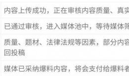 爆料视频指的是哪些内容,内容大曝光，真相一一揭晓