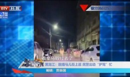 梅州现场新闻爆料视频大全,多角度呈现热点事件