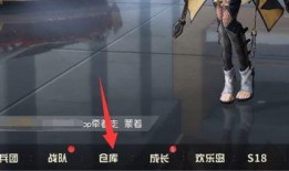 荒野新皮肤爆料视频下载,视觉盛宴，探索未知荒野之美