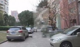 柳州小区爆料案件视频,视频揭秘惊人真相！