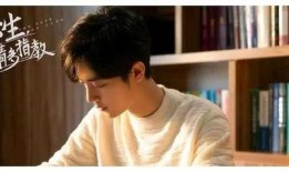 肖战和杨紫最新爆料占卜,神秘占卜揭示未来命运之谜