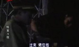 特案a组全集在线观看,全案揭秘，在线观看，悬疑重重