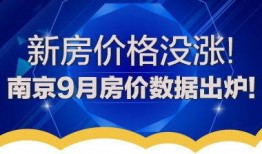 南京地产爆料最新消息