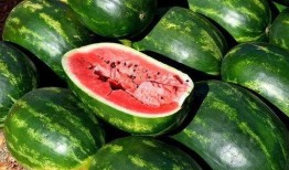 餐厅网红吃瓜视频大全,美食与娱乐的完美融合