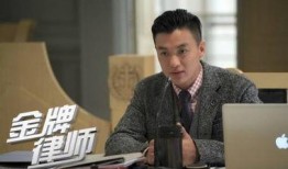 金牌律师电视剧在线观看,巅峰对决，正义之战