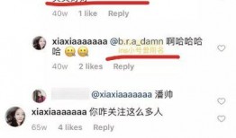 吃瓜论文免费,免费获取的学术盛宴