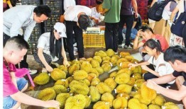 南宁水果爆料案件最新情况,真相大白，涉案人员悉数落网