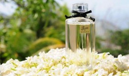 香水高清在线观看,高清在线观看香水全景解析