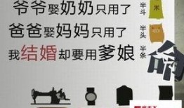 中国专家爆料新闻,揭秘重大新闻背后真相