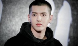 肖战和杨紫最新爆料占卜,神秘占卜揭示未来命运之谜