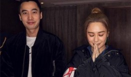 娱乐圈爆料阿娇离婚事件,娱乐圈再掀波澜