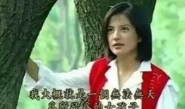 赵诚枫前女友爆料视频,揭秘明星背后的情感纠葛