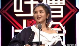 苏醒何洁爆料视频,娱乐圈背后的惊人真相