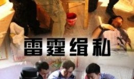 雷霆缉私在线观看,在线观看，揭秘跨国走私背后的惊心动魄