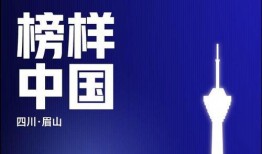 眉山新闻网上爆料,揭秘某事件背后真相