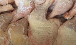 速冻鸡腿爆料视频大全下载,全方位解析美食背后的秘密