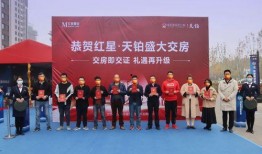 红星天铂最新爆料,揭秘高端住宅的奢华与未来趋势