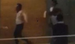 郑恺兄弟爆料视频播放,揭秘娱乐圈幕后真相