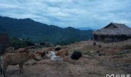 爆料老挝山长视频,视频爆料揭示不为人知的真实生活