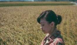 寒蝉效应电影在线观看,揭秘校园恐怖事件的惊悚真相