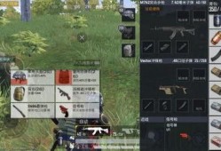 和平精英小转盘最新爆料旭升,和平精英小转盘全新爆料揭秘