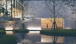 延津液化气最新爆料信息,揭秘背后真相与影响