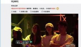 老秦爆料亲妈视频播放下载,独家播放与下载攻略揭秘