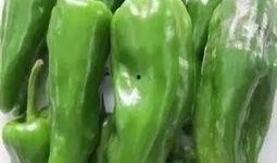 网红泡椒番茄吃瓜,揭秘美食背后的故事