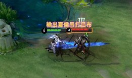 关羽皮肤 爆料网站视频,神秘视频揭示独特造型与技能特效