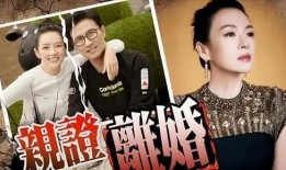 刘大锤最新爆料原版视频,原版视频背后的惊人真相