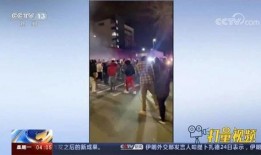 港城新闻爆料事件视频播放,视频播放揭示惊人真相