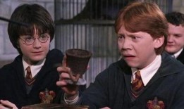 哈利最新爆料波特,揭秘魔法世界的惊天秘密