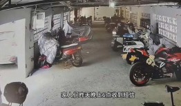 爆料机车博主视频大全最新,速度与激情的视觉盛宴