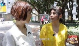 贾静雯前夫 爆料视频,揭秘婚姻内幕