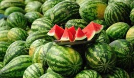 大城网红吃瓜事件真相揭秘,揭秘背后真相与争议