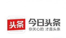 石家庄今日头条职场爆料,行业动态与职场风云