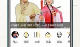 长段在线观看,长段在线观看的便捷体验解析