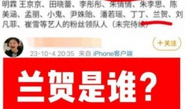 卓伟爆料任嘉伦成毅视频,卓伟独家视频揭秘幕后真相