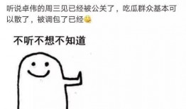 卓伟爆料乐队是谁啊视频,揭秘神秘乐队背后的故事