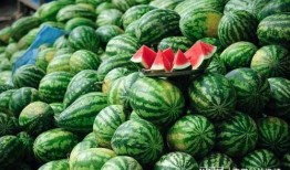 网红黑料51吃瓜那个网站能打开