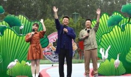 五粮液最新爆料新闻视频,揭秘高端白酒新动向与市场策略