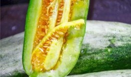 八卦吃瓜网红图片高清壁纸,捕捉潮流瞬间