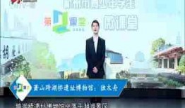 杭州学校爆料新闻事件真相,真相揭秘与反思