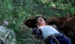 落叶归根 在线观看,探寻故乡情怀的温暖之旅