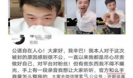 爆料刘一手视频,揭秘娱乐圈惊人内幕