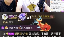 参哥合伙人爆料视频大全,视频大全背后的惊人真相