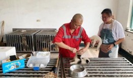 智祥法师爆料视频,佛教界内幕大公开